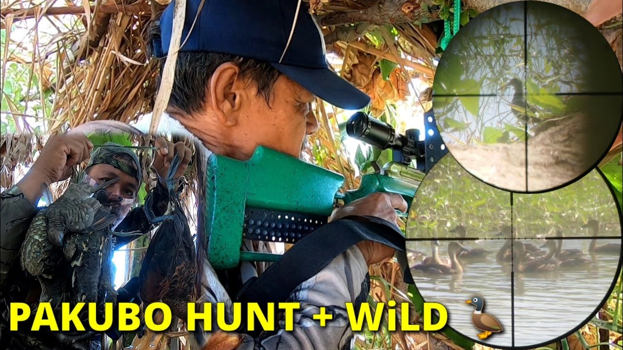 P1 -  PAKUBO HUNTING + WiLD 🦆 (catch& cook) with X HUNTER PH