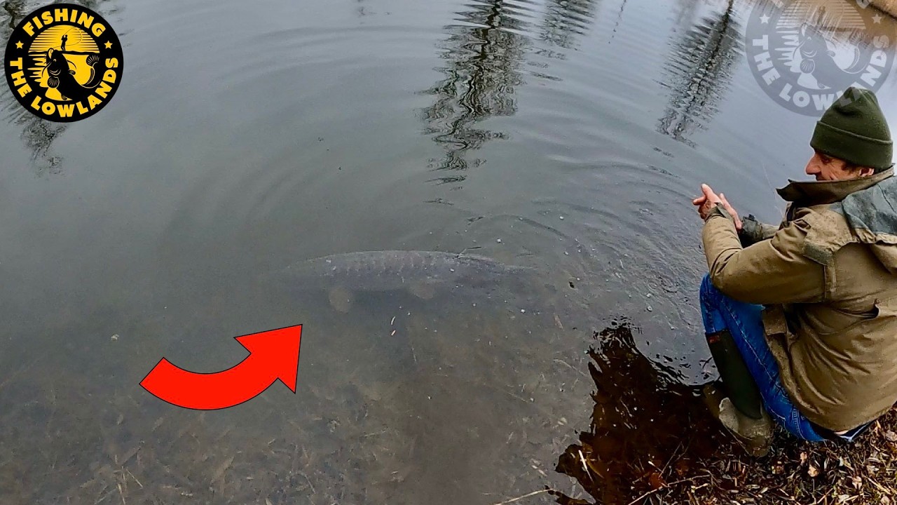 Reus met tanden in de wijk! Snoek vissen. FishVlog #193.