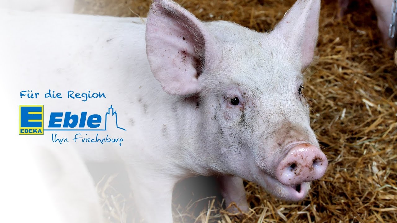 Edeka Eble - Für unsere Region (Strohschweine)