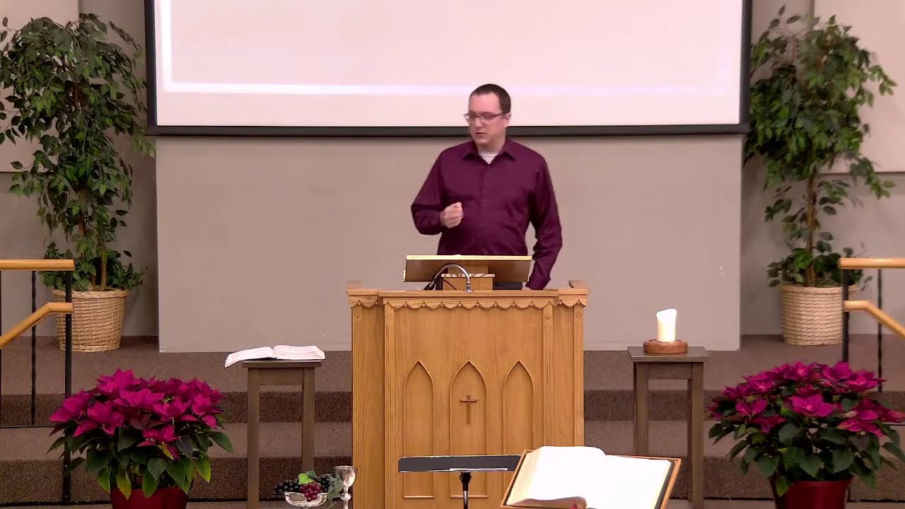 Matthew 10:16-31 | Into the Midst of Wolves