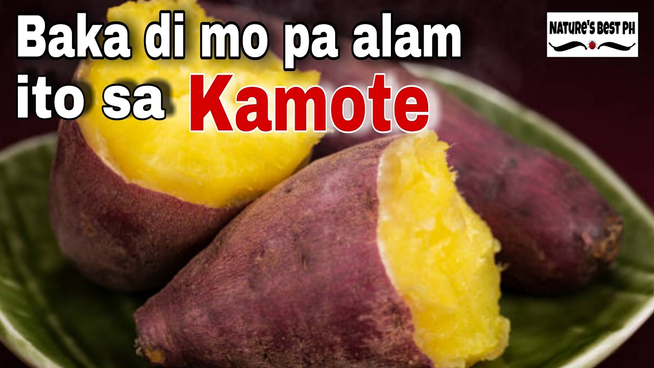 Akala mo Simpleng Kamote lang ito | Ang Lihim na Hindi Itinuturo Tungkol sa Kamote