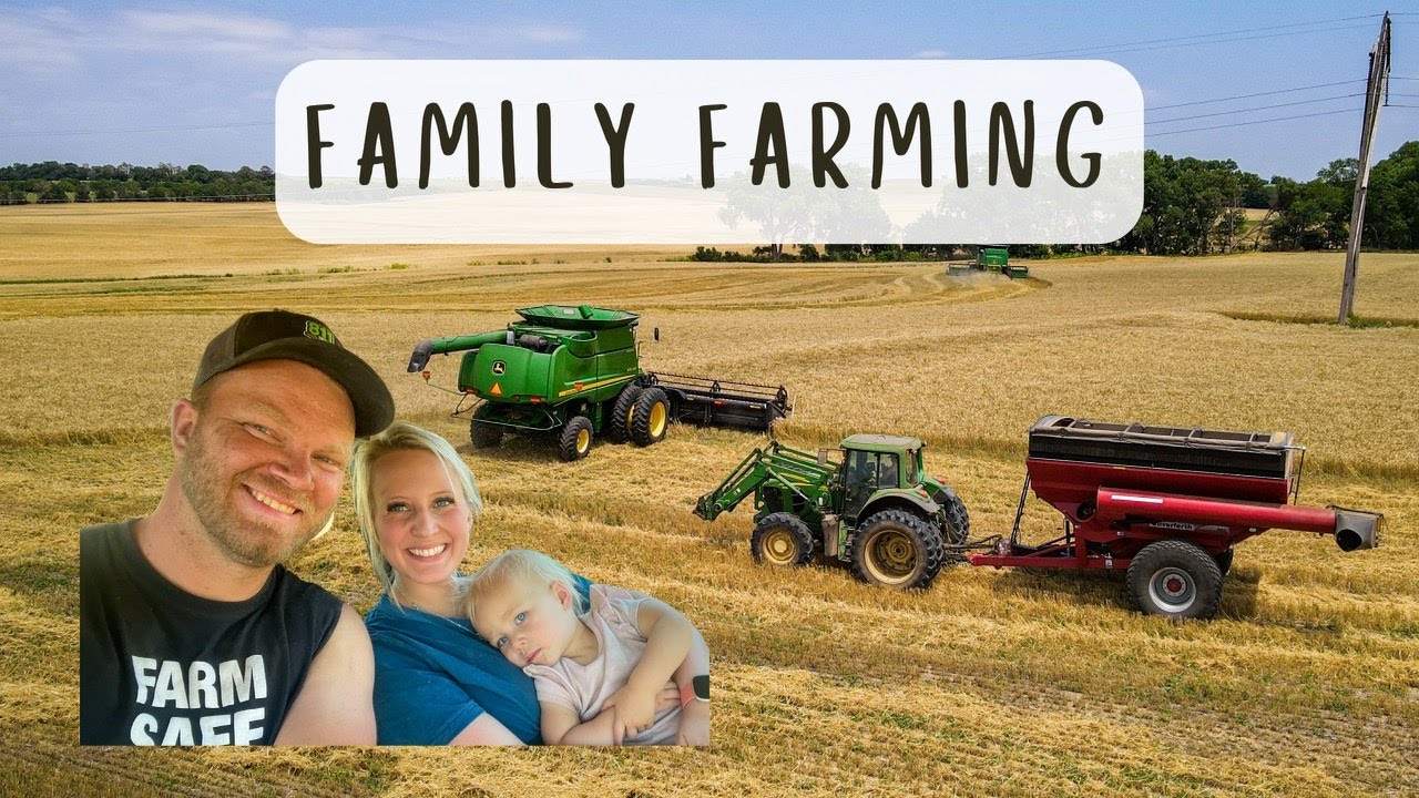 WHEAT HARVEST (Part 3) | Meals in the Field