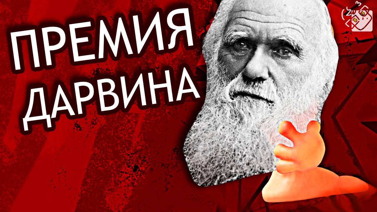 ПРЕМИЯ ДАРВИНА! - Worms Revolution! (Гагатун, Юзя и Хитман)