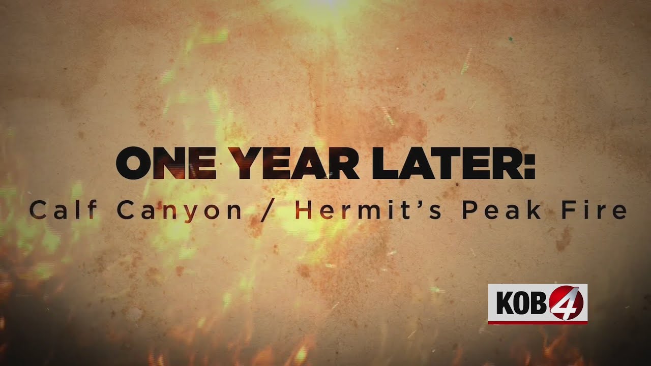One Year Later: Calf Canyon/Hermit's Peak Fire