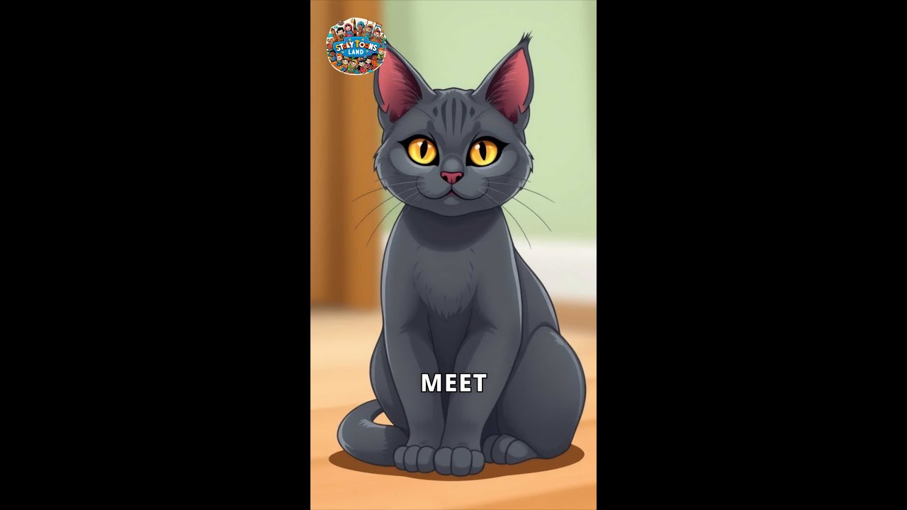 Discover the Charming Chartreux Cat
