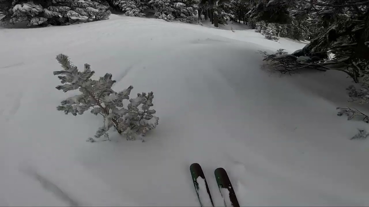 A Secret Powder Stash at Mt Hood Meadows