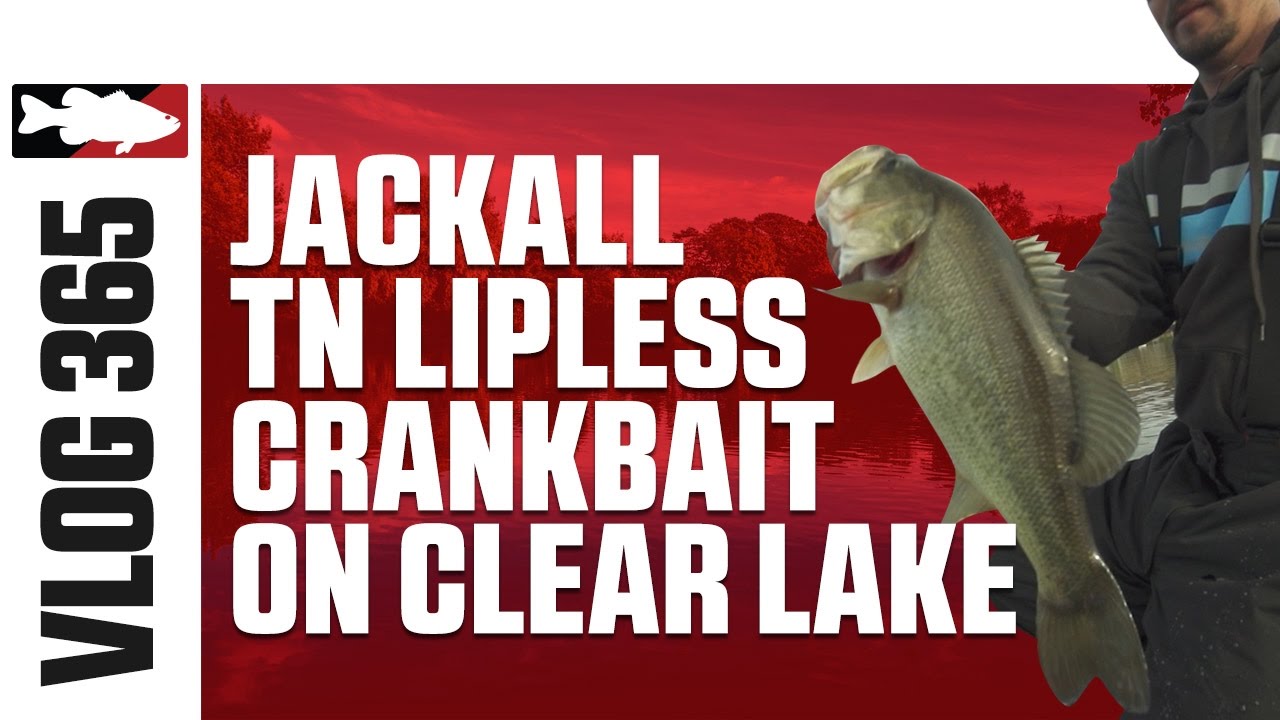 Jared Lintner & Alex Davis Fising the Jackall TN Lipless Crankbait on Clear Lake - TW VLOG #365