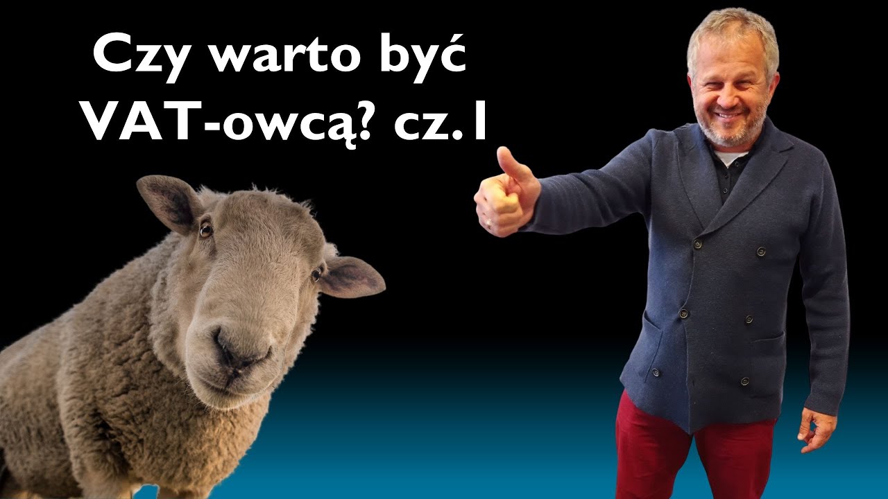 Czy warto być Vat-owcą?