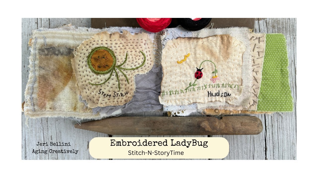 Embroidered LadyBug ~ Stitch-N-StoryTime Wk8