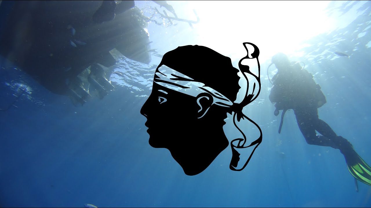 Plongées à Calvi avec l'hippocampe - 2014