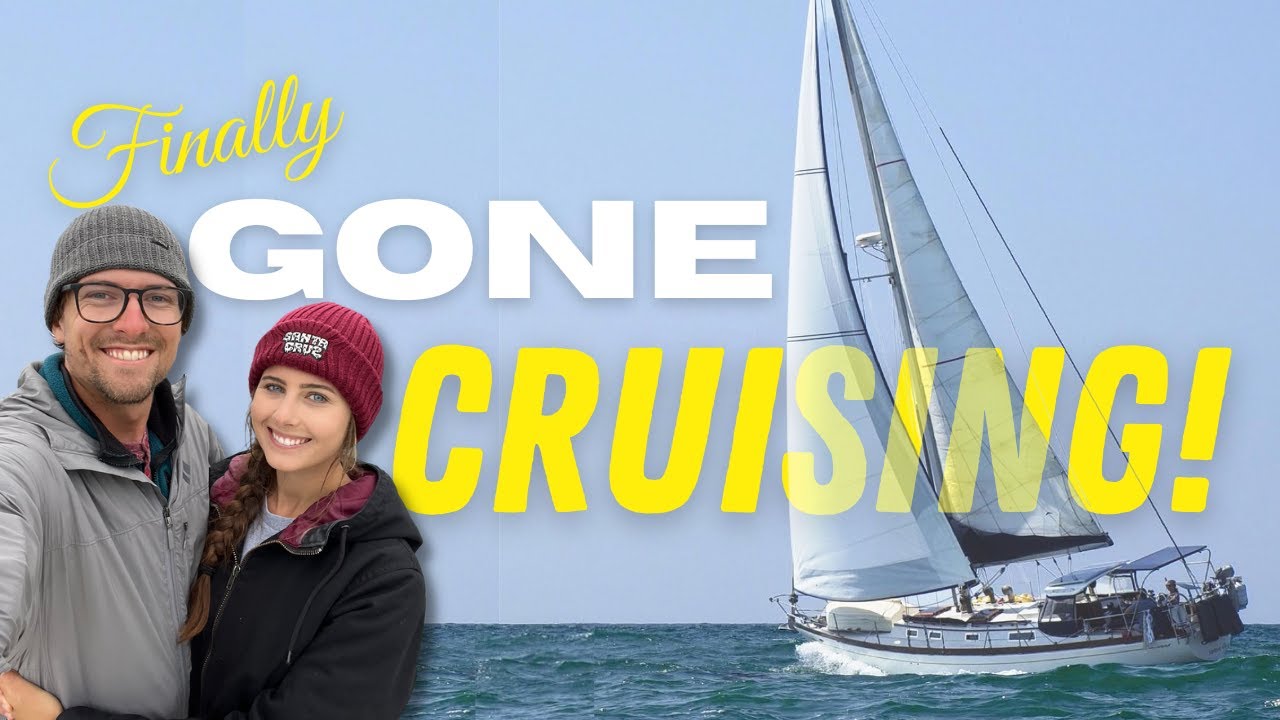 Sailing North! | Sailing Avocet