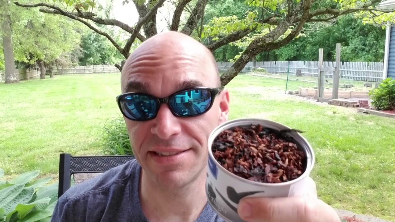 Sunday Review & Showdown: 2006 vs. 2019 Haddo's Delight