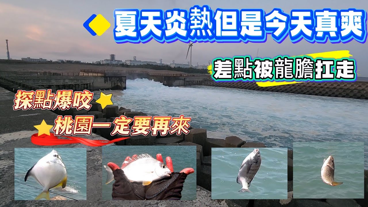 桃園 防坡堤 夏天 中暑 要補水 太陽毒 黑鯛 沙格 臭肚 烏魚 雀鯛 石斑 魚種多 生態好 一定要再來 開心釣遊 鐵腿 值得 大潭發電廠 出水口 北面20250514