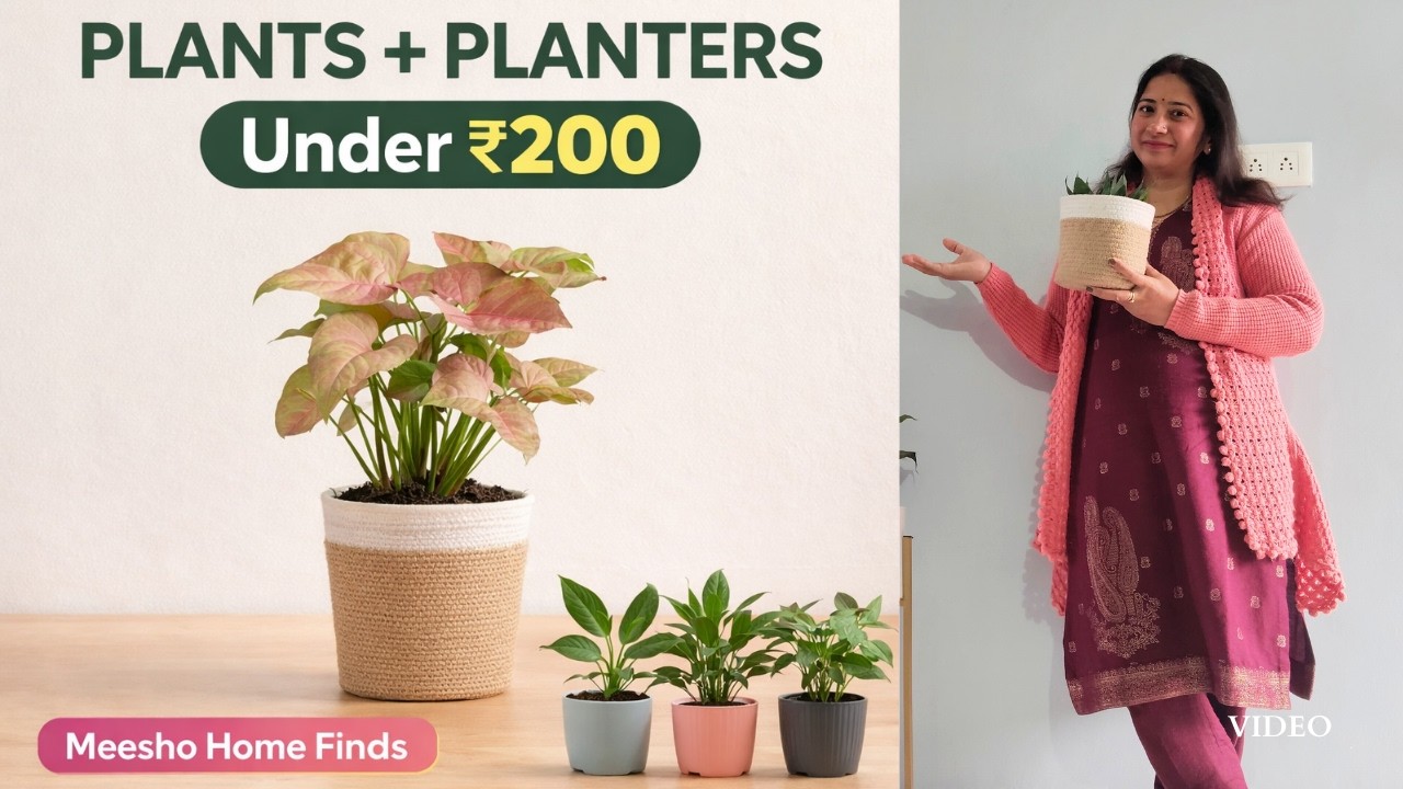 Affordable Plants & Pots From Meesho | Home Decor Upgrade