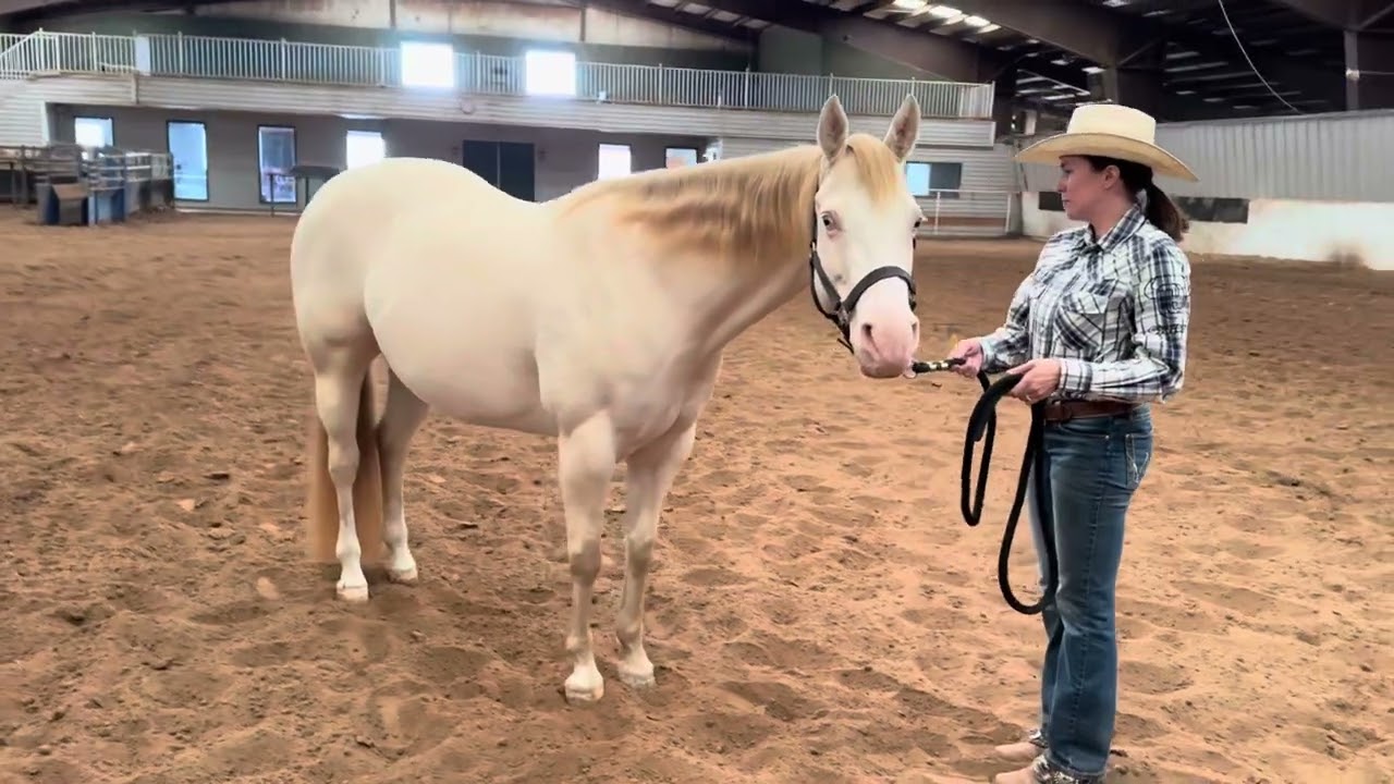 Lacey Heywood & MobstersSecretWeapon - Non Pro Ranch Conformation/Open Ranch Conformation