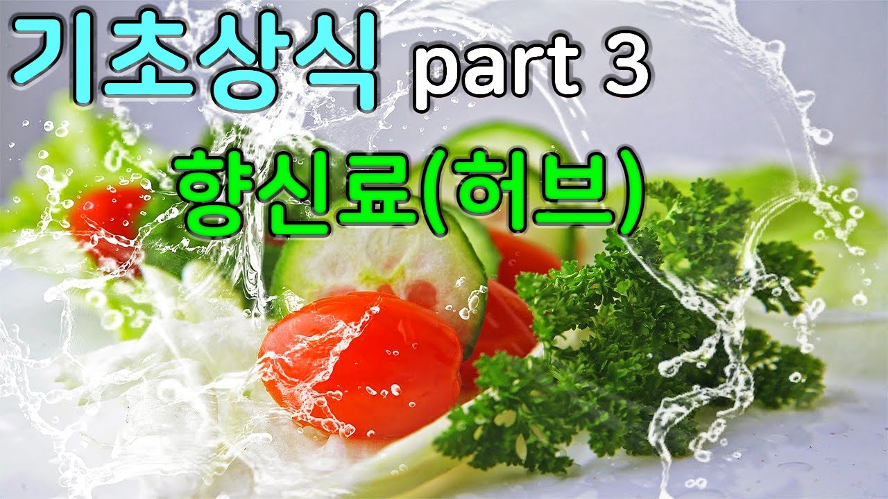 요리전공자가 알려주는 허브 종류 10가지 기초상식 Part 3