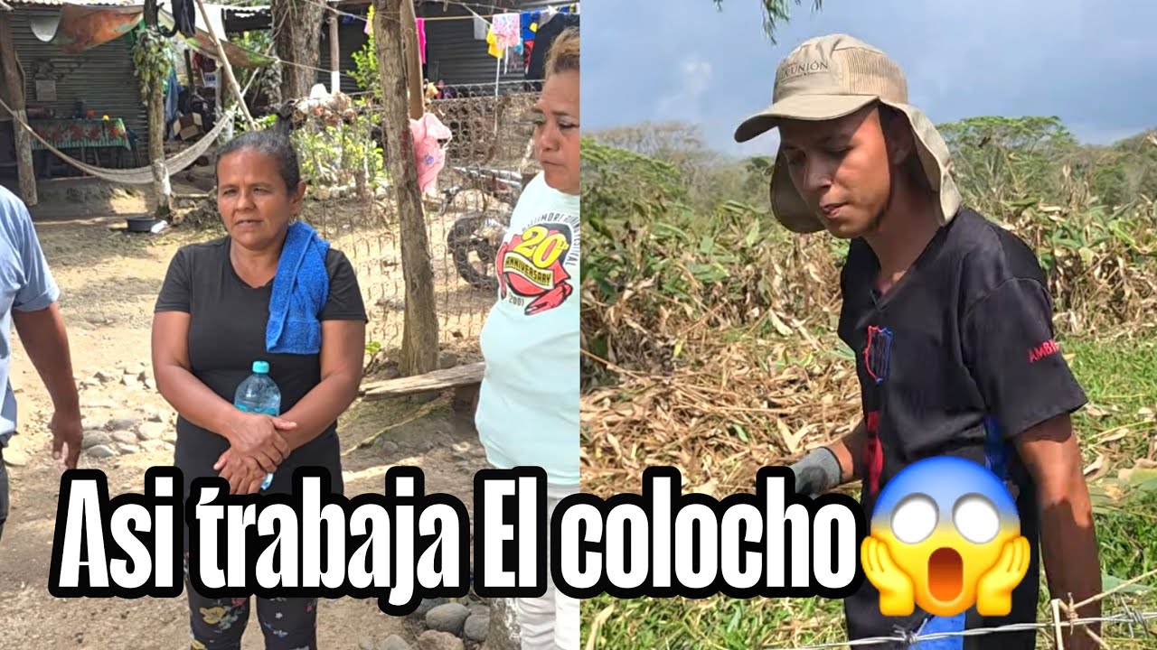 La tia de Dayrin habla la verdad que esta pasando en su familia y con El colocho😱
