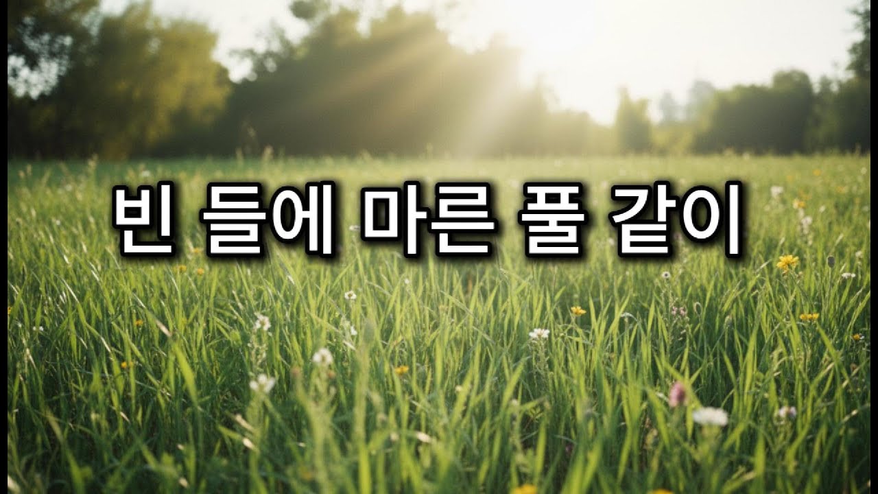 빈 들에 마른 풀 같이