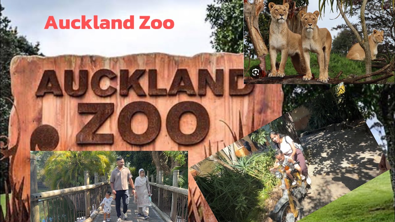 Exploring Wildlife Wonders A day at Auckland Zoo 🐢🦖🦕🦄🥰🥰😍🇦🇺🥳