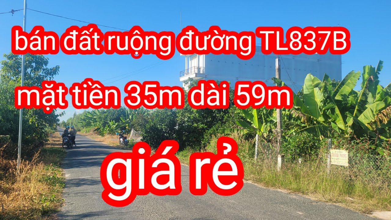 Bán Đất Ruộng Đường TL837B Lh Zalo 0989598415