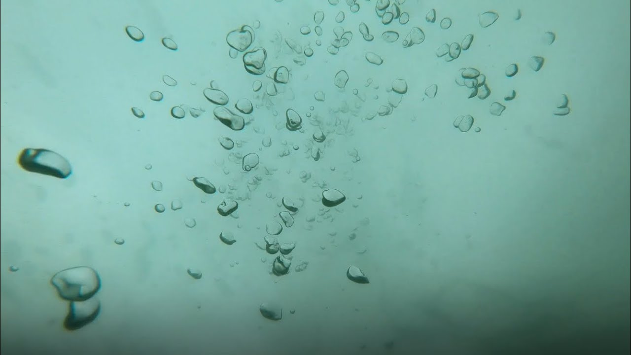 Diving in Plymouth Sound - Last Dive of winter! 