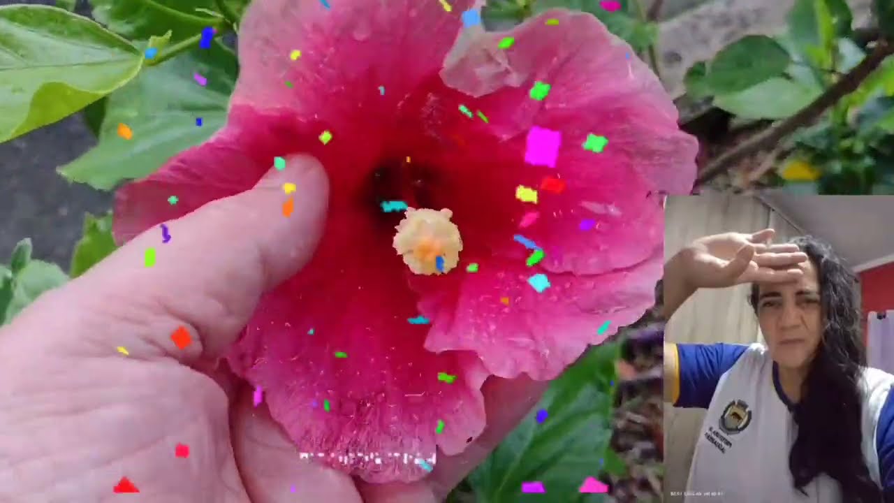 #jardim dê Rua são lindos aqui têm muitas flores nas ruas!?#❤️😍🍀🕊️