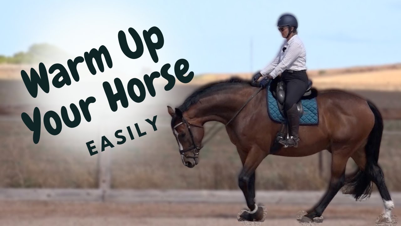 Horse Riding Lesson - How To Warm Up Your Horse