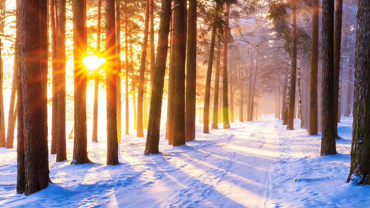 Winter Entspannungsmusik zum Erholen