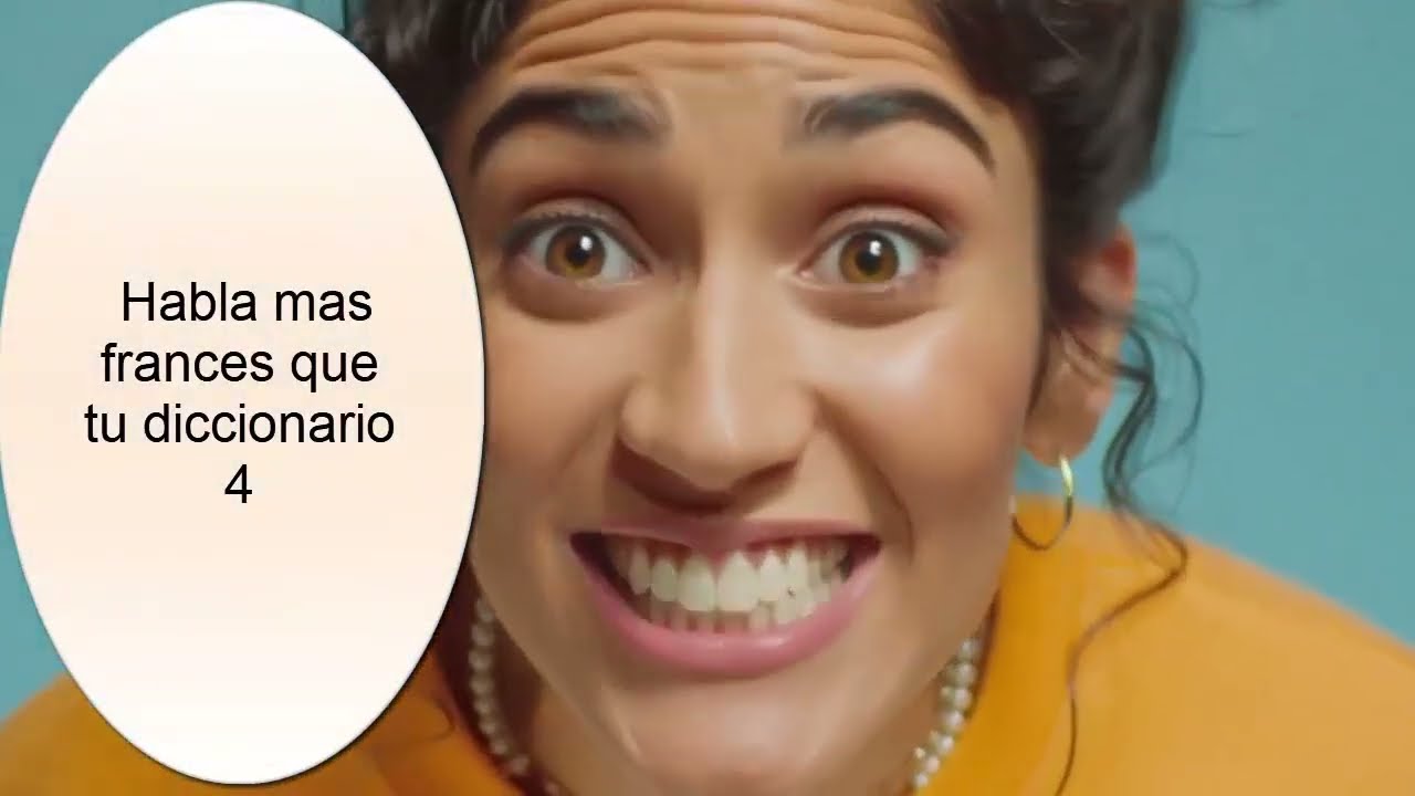 Habla mas frances que tu diccionario 4!