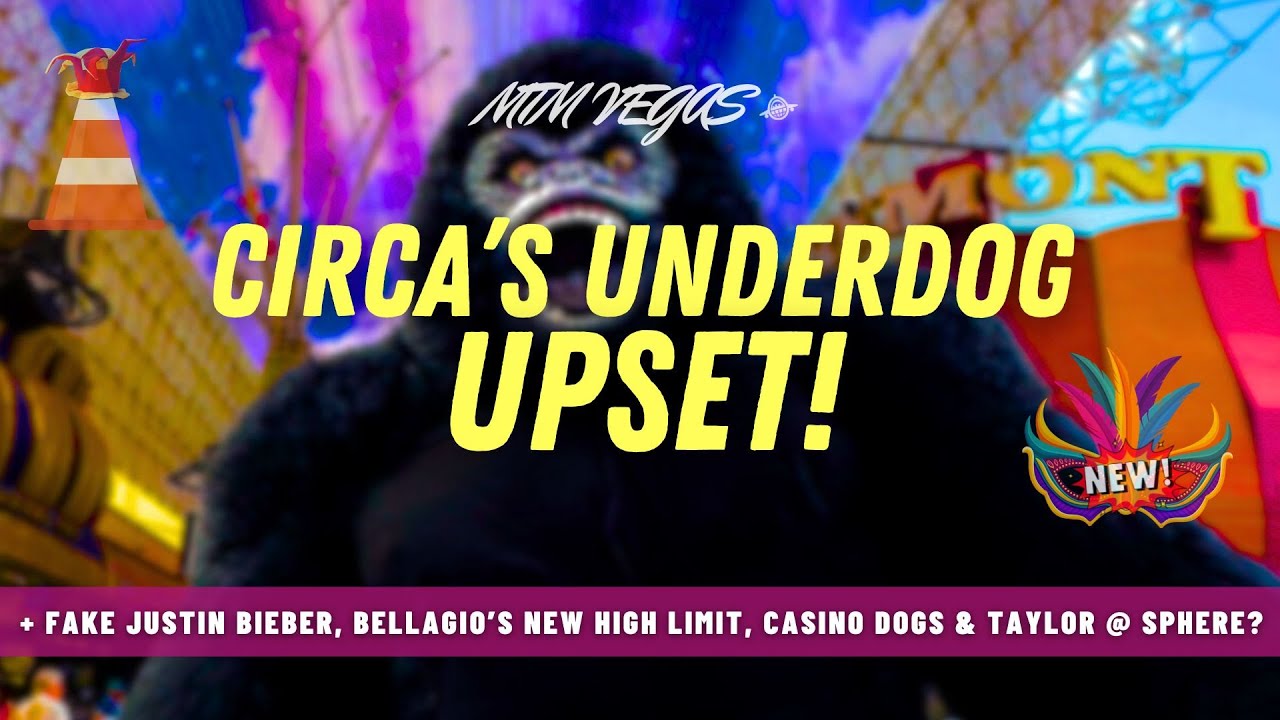 Taylor Swift Sphere Rumors, Dogs in Casinos, More Viral Prices, Circa's Big Win & Bellagio Hotness!