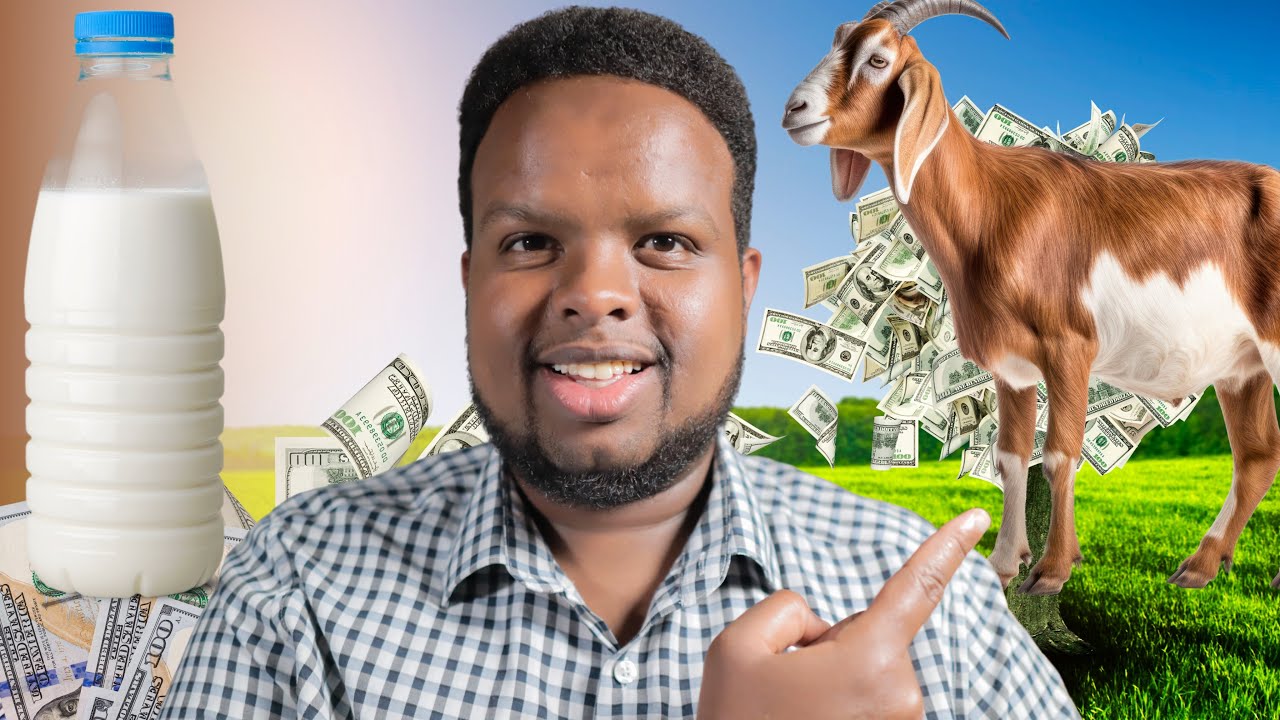 KA SAMEE LACAG CAANAHA XOOLAHA - Tijaabo Guulaysatay 💵