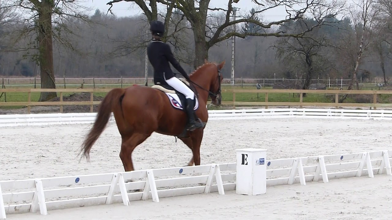 Concours dressage à Brinon. Club 3 grand prix