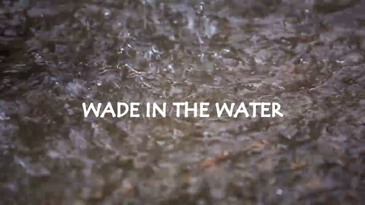 Wade In The Water MSDAC