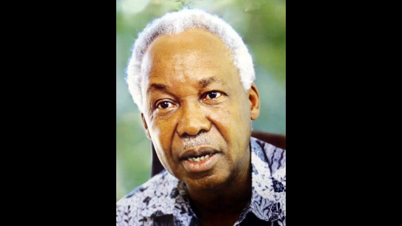 KAMA SIO JUHUDI ZAKO NYERERE #babawataifa #nyerere #tanzania #subscribe #nature #travel #beach