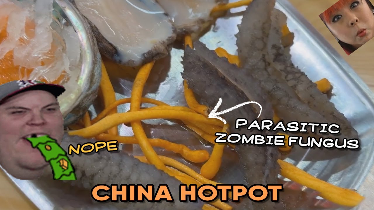 Bulldog would not survive chinese hotpot | AdmiralBulldog Reacts to Dancing Bacons