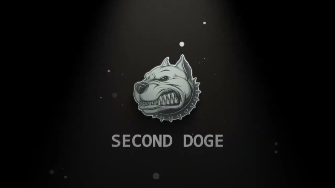 Second Doge Intro