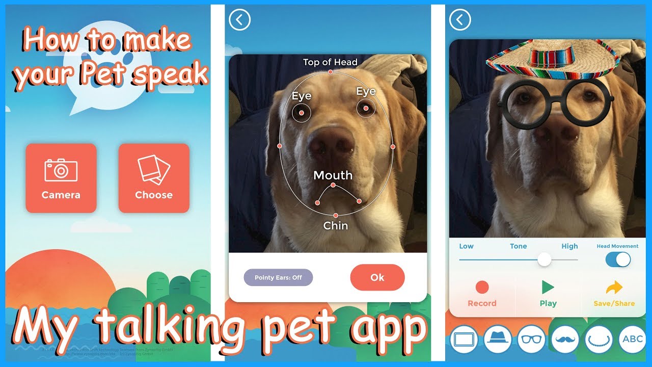 My talking Pet APP -Tutorial & Review