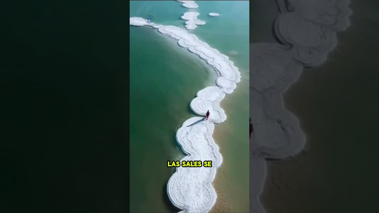 El Mar Muerto es tan salado que puedes flotar sin esfuerzo.