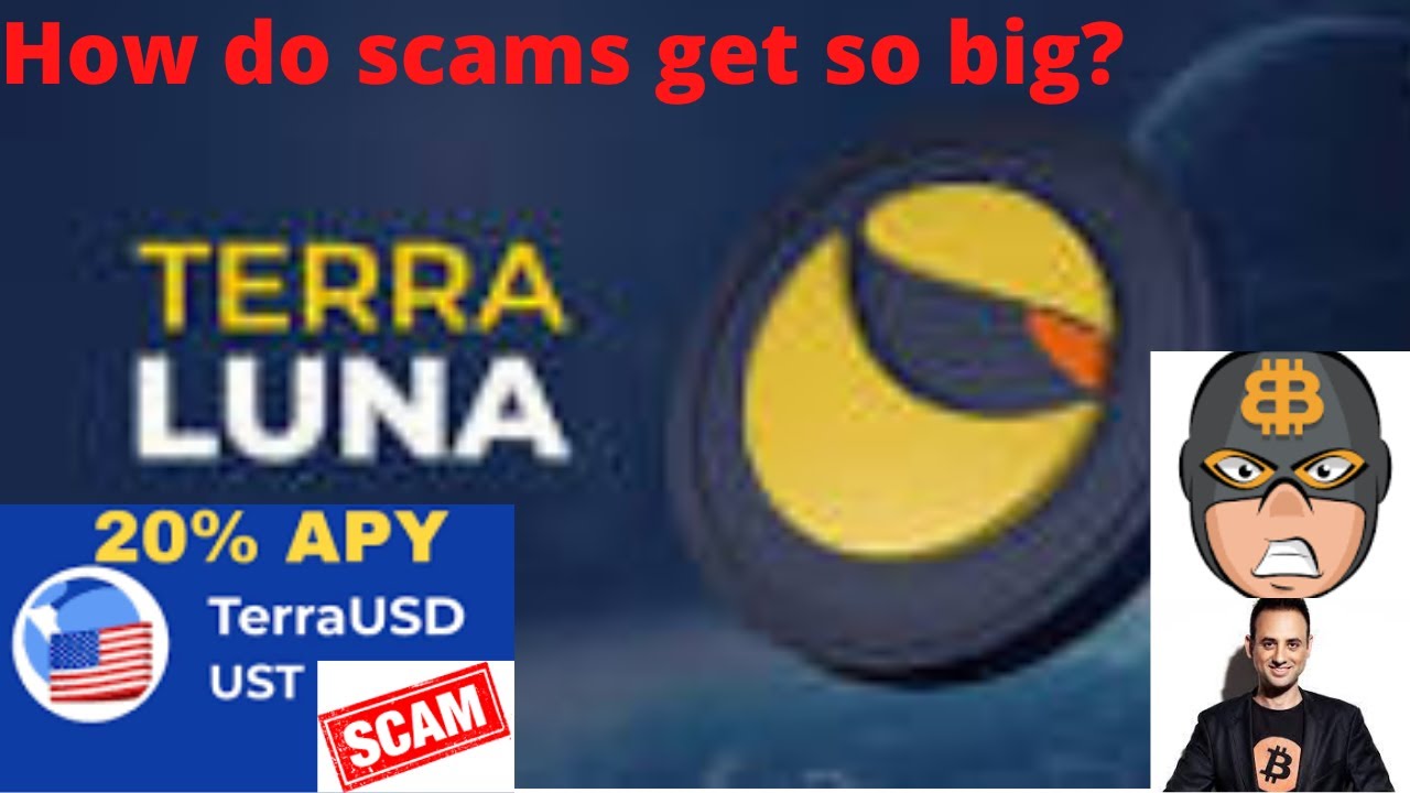 How did Terra luna and UST scam  get so big?