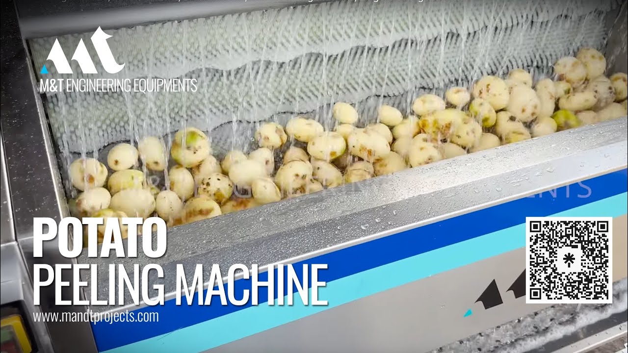 Brush Washer, Potato Peeling Machine, Potato Washer, Carrot Peeling Machine, Zinger Peeling Machine