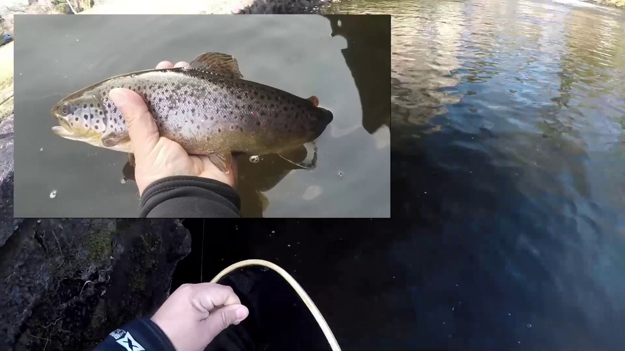 Slam in the Nissequogue