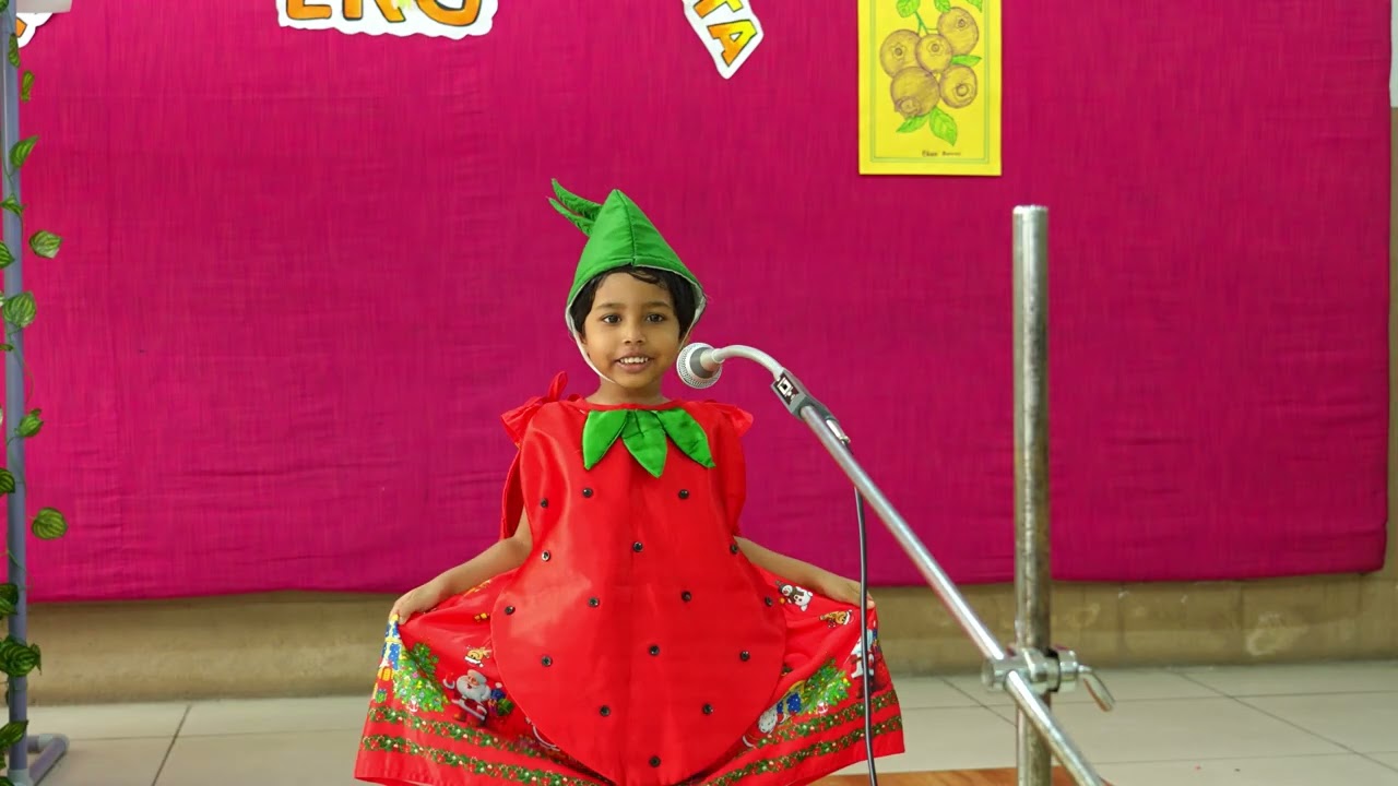 FANTASTIC FRUITS FIESTA