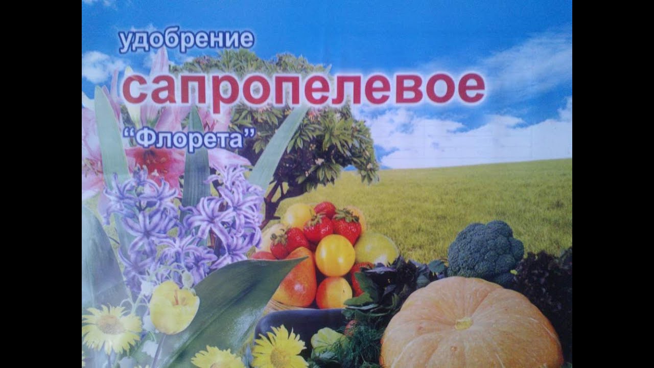 Сапропель - миф или реальность?