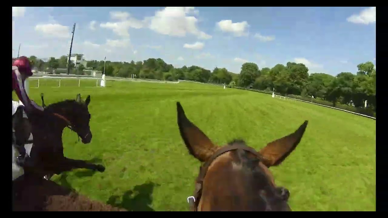 Embarquez au cœur du Grand Steeple-Chase de Paris avec Gran Diose et Thomas Beaurain