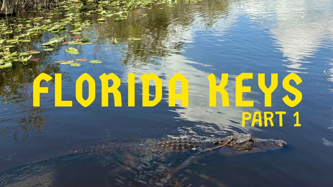 VILDA DELFINER, ALLIGATORER OCH WENDYS - FLORIDA KEYS MED BARN