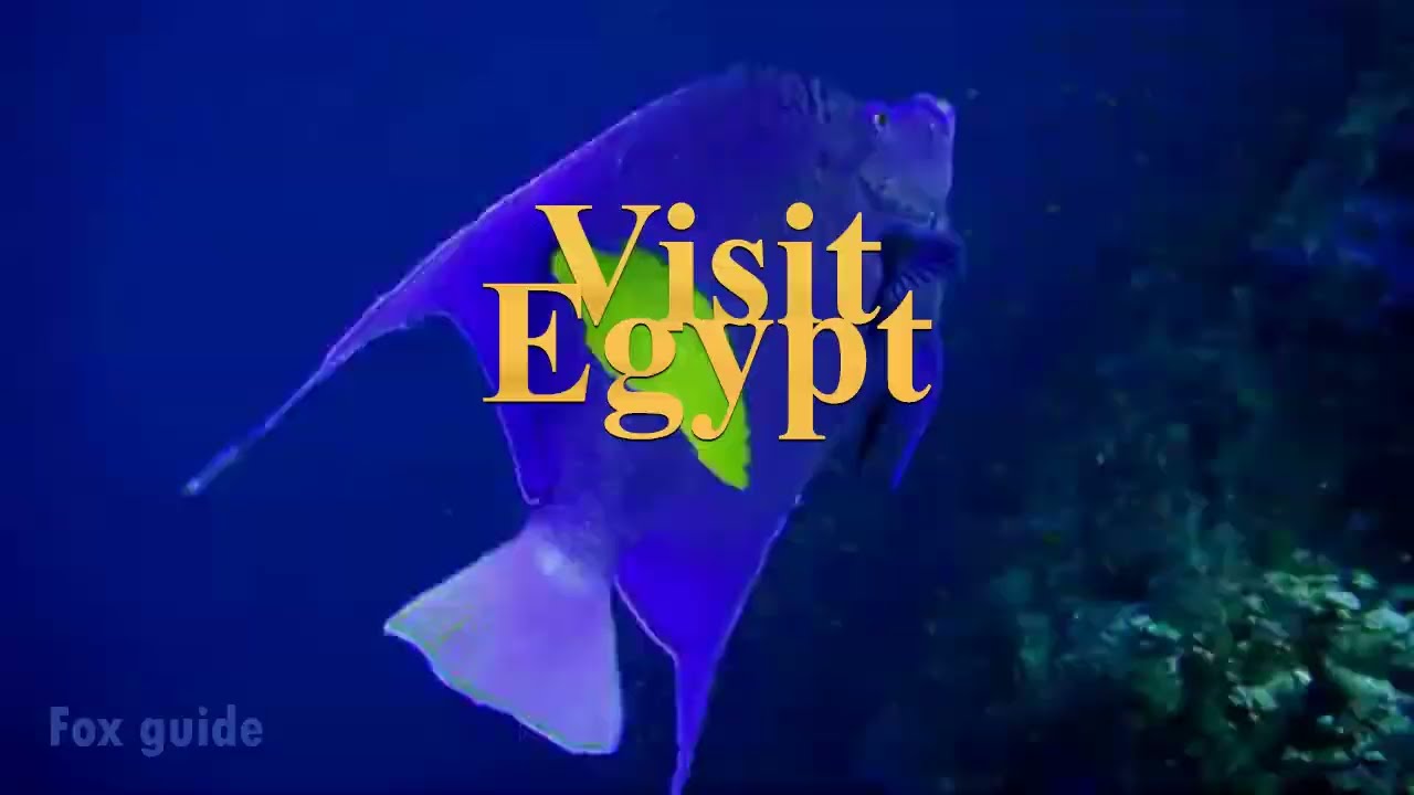 Visit Egypt