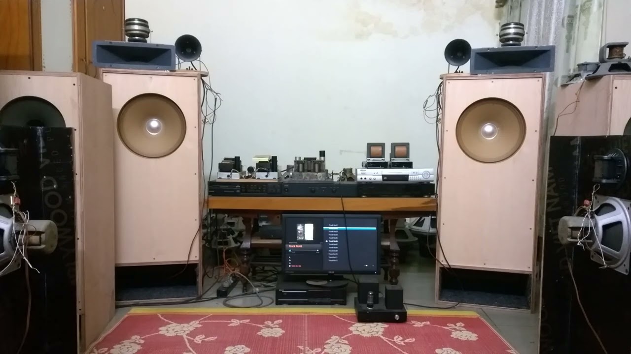 TQWT speaker DIY 40cm 800hz