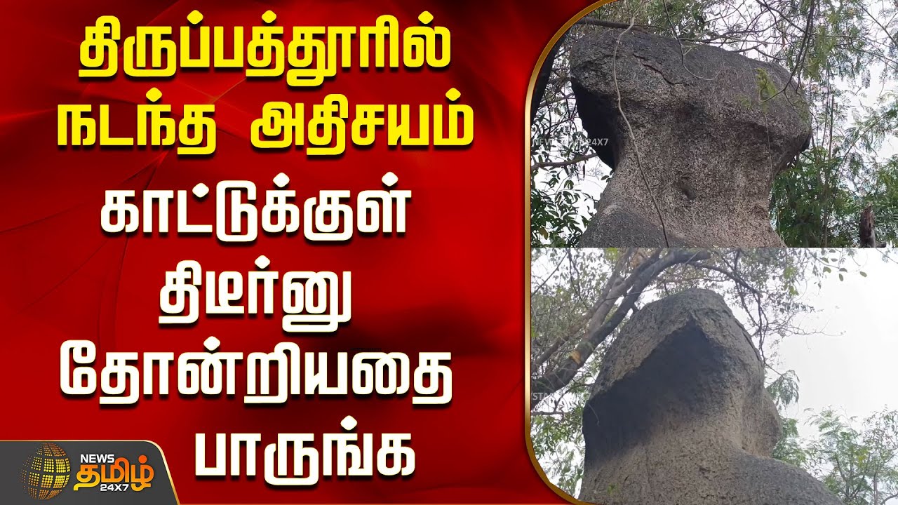திருப்பத்தூரில் நடந்த அதிசயம் -காட்டுக்குள் திடீர்னு தோன்றியதை பாருங்க | Tirupattur | Mush Room Rock