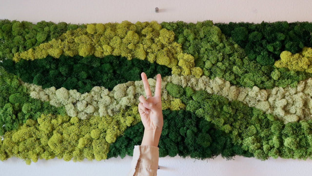 ПРОСТАЯ самодельная настенная живопись из мха!! 🥦🥦