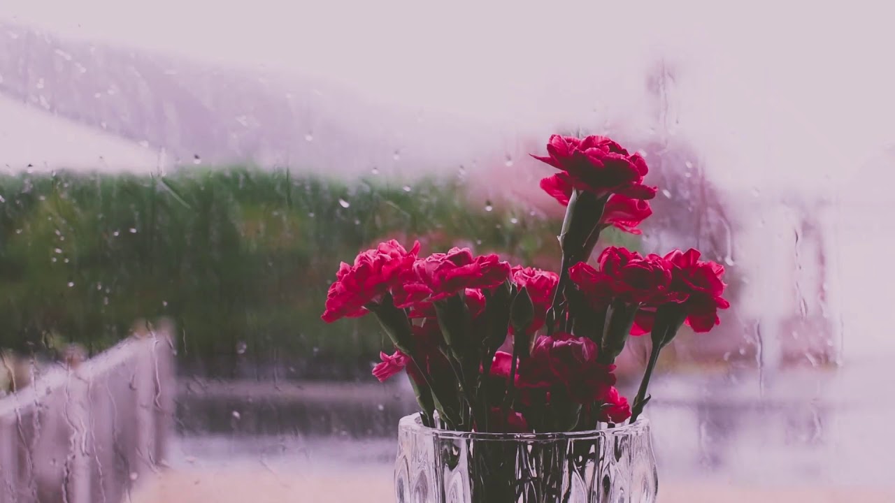 Relaxing Rain Music  #hashtag #calm  #rains